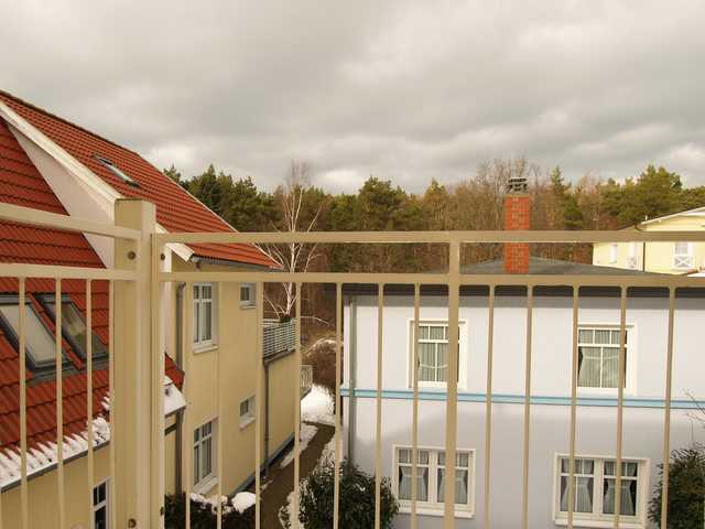 Der Ausblick vom Balkon auf den Stadtwald