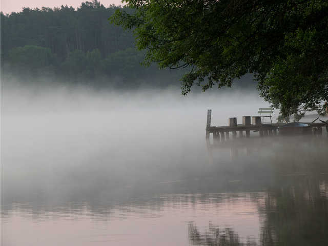 Nebel am Loppiner See