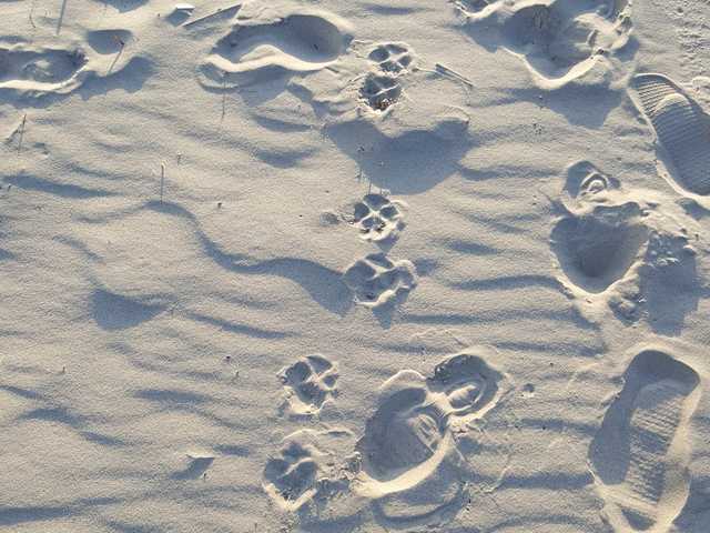 Der feine Sand am Strand - Ein Paradies für Men...