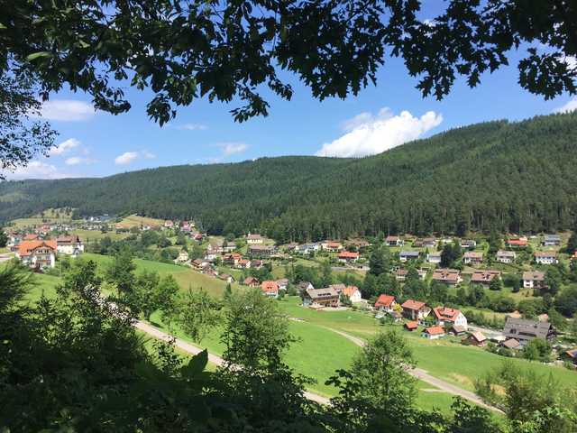 Blick auf das Tonbachtal vom Weg zum Rinkenturm...