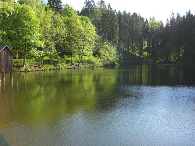 Oberharzer Teich