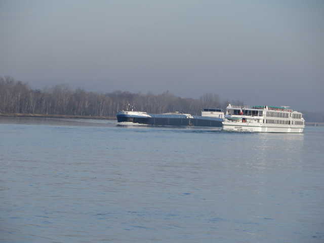 Schiffsverkehr auf dem Rhein bei Kappel