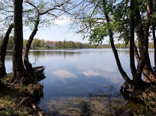 Haussee