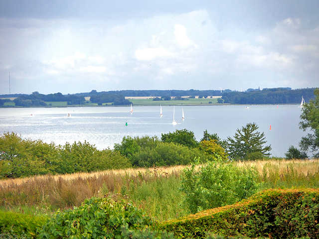 Blick vom Grundstück auf den Strelasund