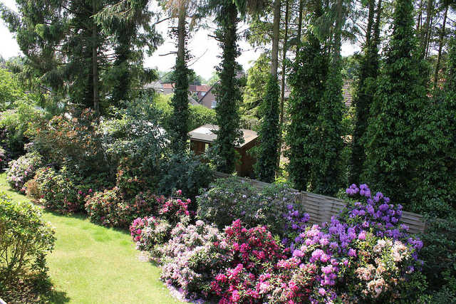 Gartenbereich zur Rhododendronblüte