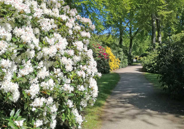 Rhododendron-Park Graal-Müritz
